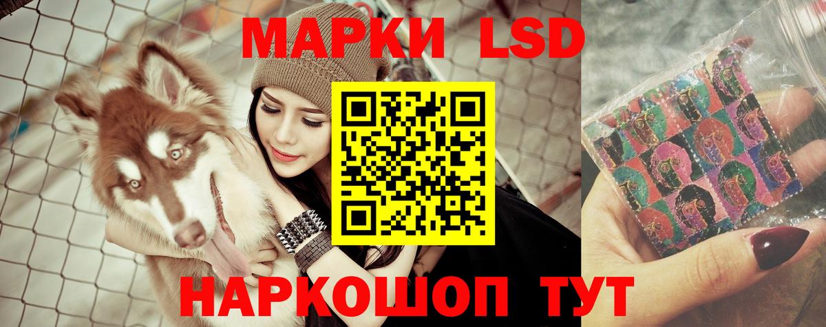 ЛСД экстази кислота  LSD-25 экстази кислота  Новороссийск  Лсд 25 экстази  Вход с VPN 