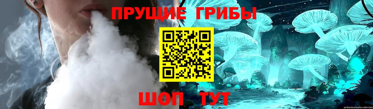Псилоцибиновые грибы Cubensis  Вход с VPN  Новороссийск 